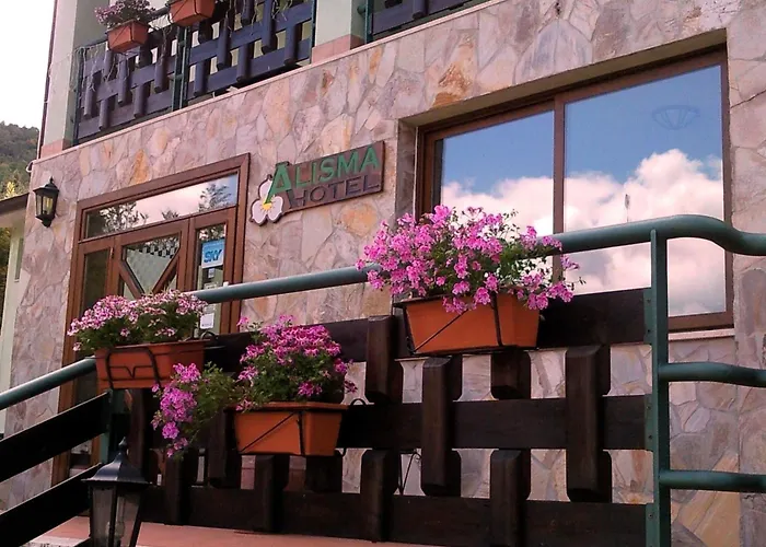 Alisma 3* Альфедена